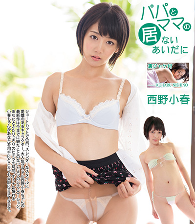 [DVD] パパとママの居ないあいだに 西野小春