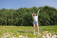 真奈